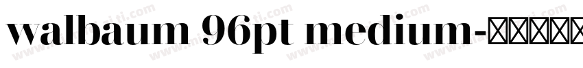 walbaum 96pt medium字体转换